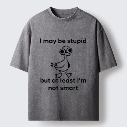 Tokyo‑Tiger Silly Duck Meme Washed T‑Shirt