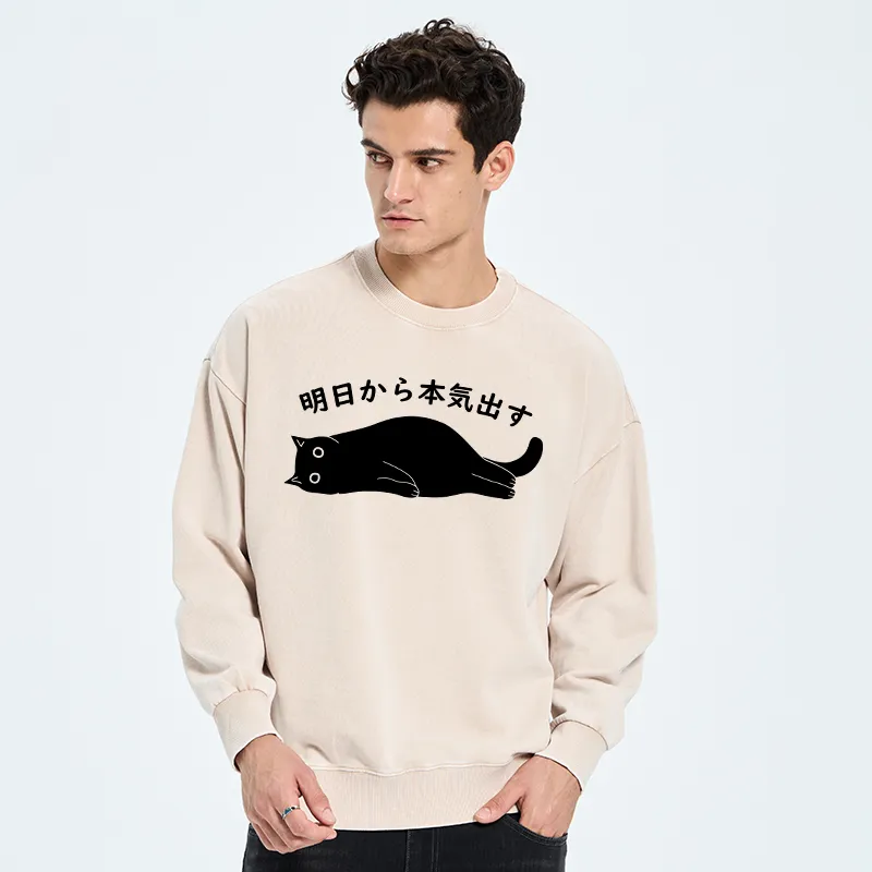 Tokyo-Tiger I'm Going To Get Serious Tomorrow Washed Sweatshirt