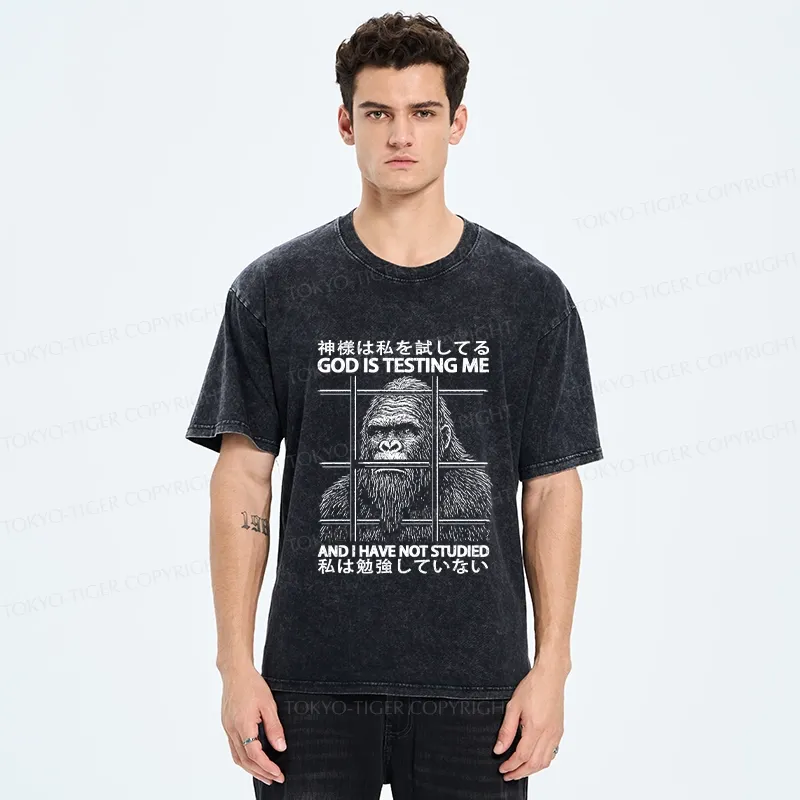 Tokyo-Tiger Funny God Is Testing Me Washed T-Shirt