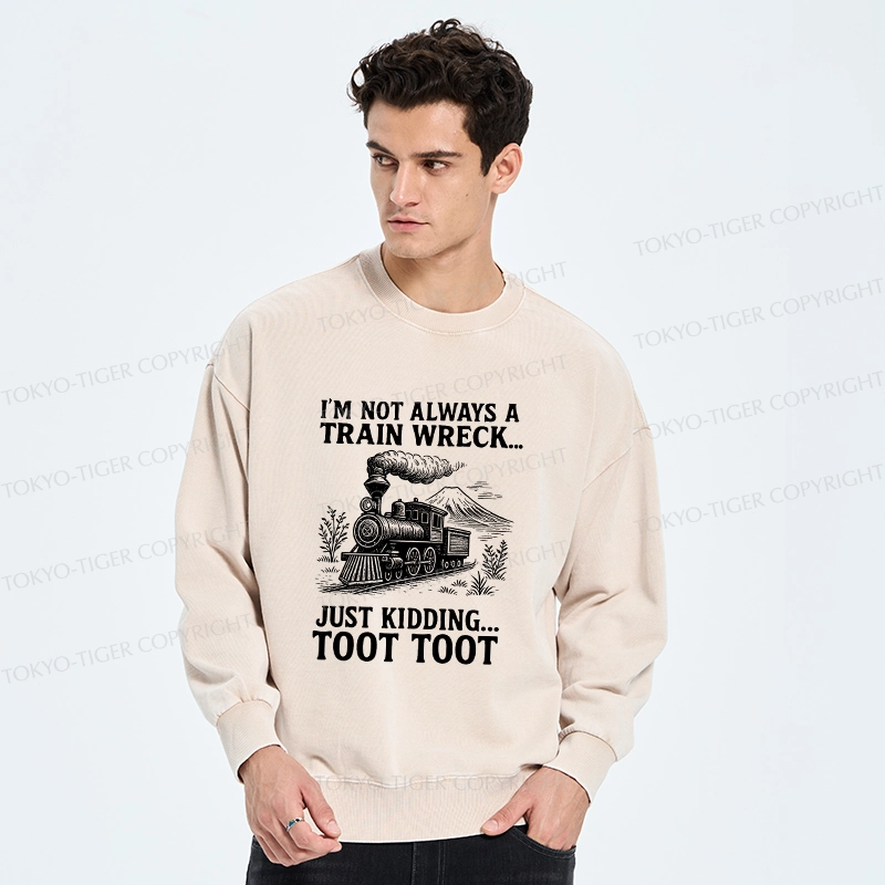 Tokyo-Tiger Funny Train Jokes Washed Sweatshirt
