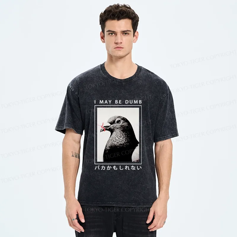 Tokyo-Tiger I May Be Dumb Funny Washed T-Shirt