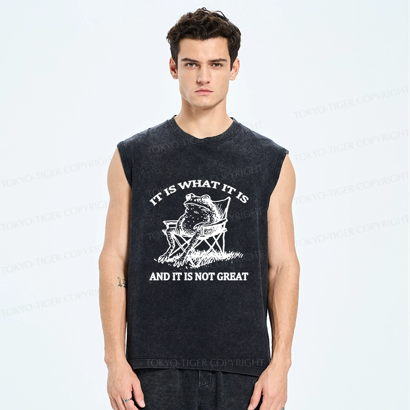 Tokyo-Tiger Resting Frog Funny Washed Tank