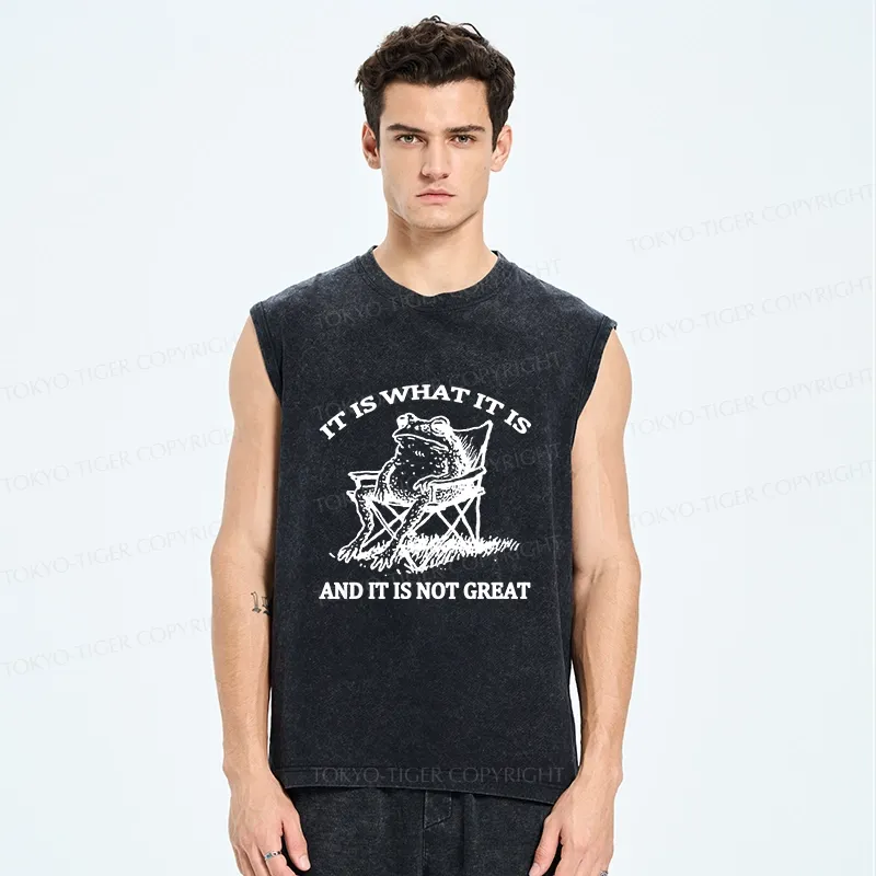 Tokyo-Tiger Resting Frog Funny Washed Tank