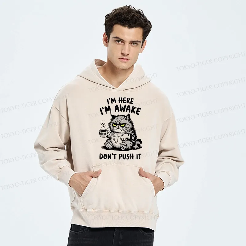 Tokyo-Tiger Tired Cat Washed Hoodie