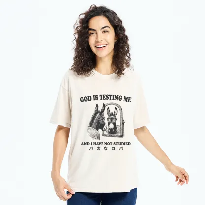 Tokyo-Tiger Studied Donkey Meme Washed T-Shirt