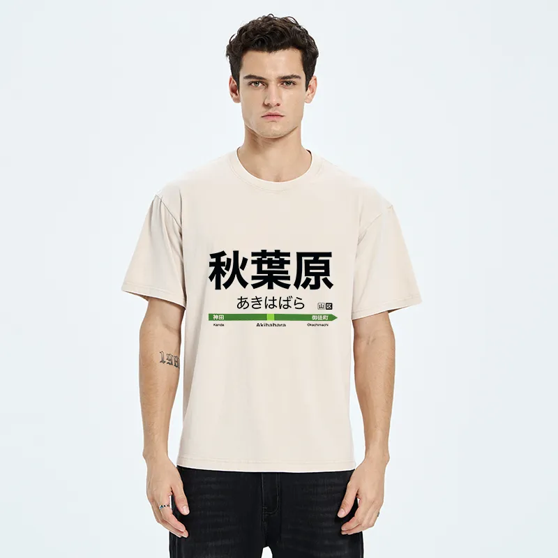 Tokyo-Tiger Japan Akihabara Line Station Washed T-Shirt