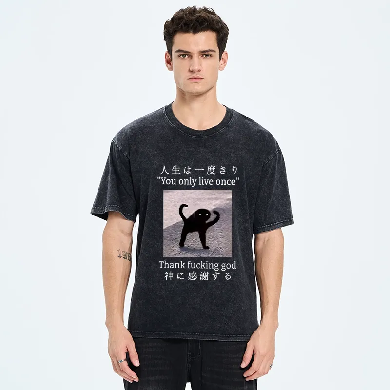 Tokyo-Tiger Funny Mysterious Cat Washed T-Shirt