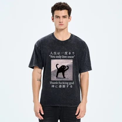 Tokyo-Tiger Funny Mysterious Cat Washed T-Shirt