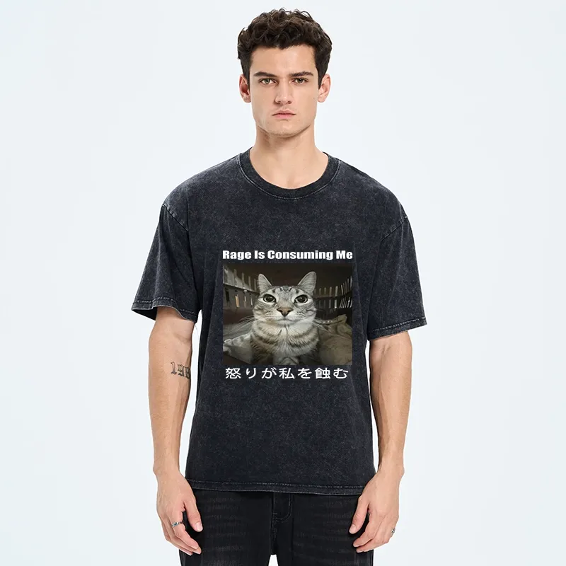 Tokyo-Tiger Rage Is Consuming Me Japan Washed T-Shirt