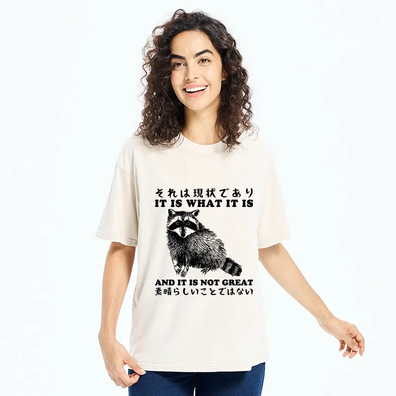 Tokyo-Tiger That Is The Current Situation Washed T-Shirt