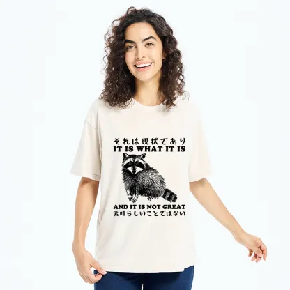 Tokyo-Tiger That Is The Current Situation Washed T-Shirt