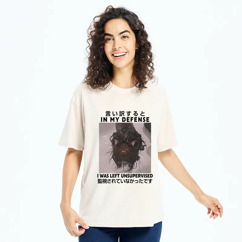 Tokyo-Tiger I Was Left Unsupervised Washed T-Shirt