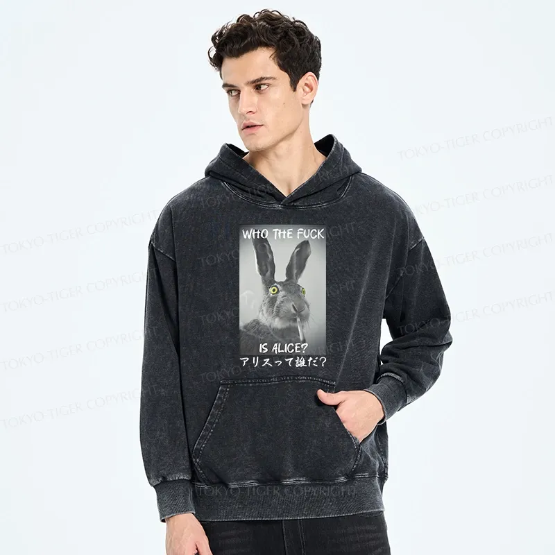 Tokyo-Tiger Who Is Alice? Washed Hoodie