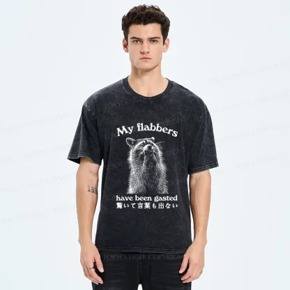 Tokyo-Tiger My Flabbers Have Been Gasted Washed T-Shirt