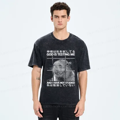 Tokyo-Tiger God Is Testing Me Washed T-Shirt