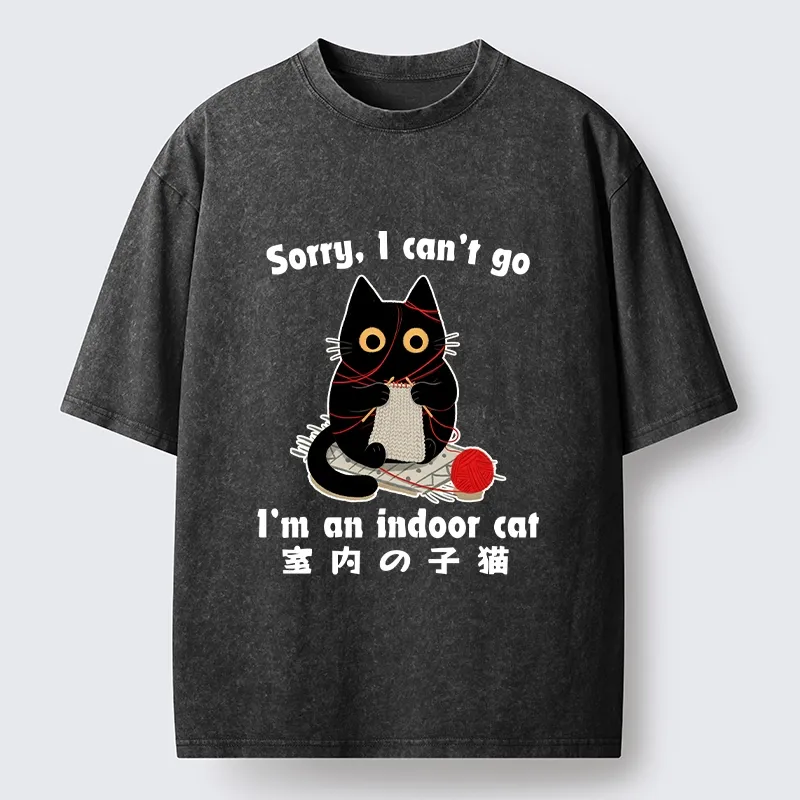 Tokyo‑Tiger Indoor Cat Meme Washed T‑Shirt
