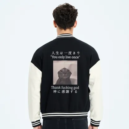 Tokyo-Tiger Funny Melancholy Cat Embroidery Varsity Jacket