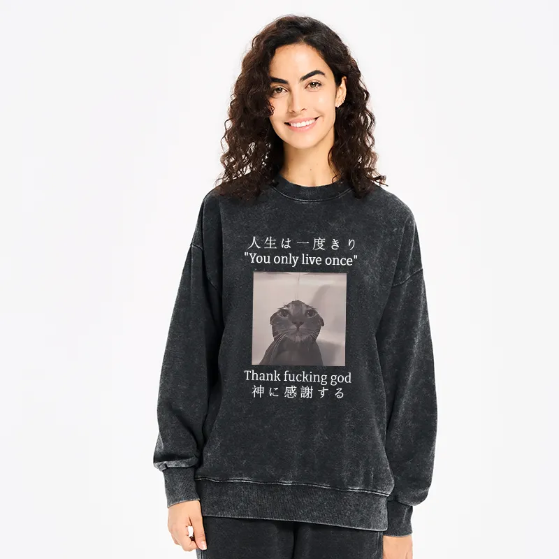 Tokyo-Tiger Funny Melancholy Cat Washed Sweatshirt
