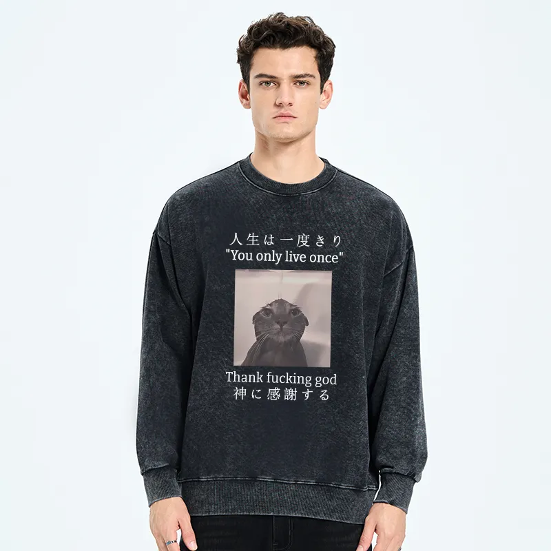 Tokyo-Tiger Funny Melancholy Cat Washed Sweatshirt
