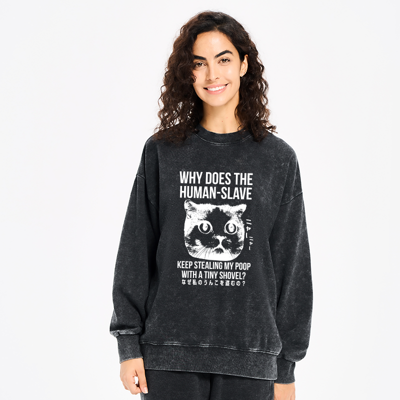 Tokyo-Tiger Cat Thinking About human Washed Sweatshirt