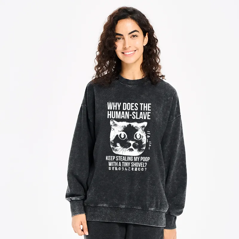 Tokyo-Tiger Cat Thinking About human Washed Sweatshirt