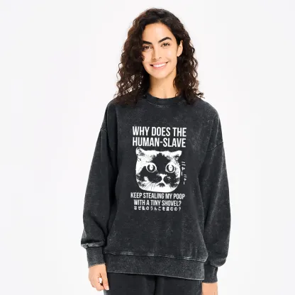 Tokyo-Tiger Cat Thinking About human Washed Sweatshirt