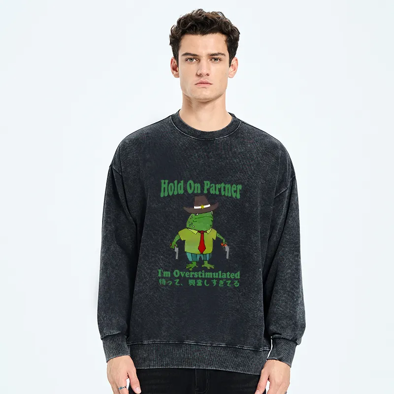Tokyo-Tiger Wait I'm Too Excited Washed Sweatshirt