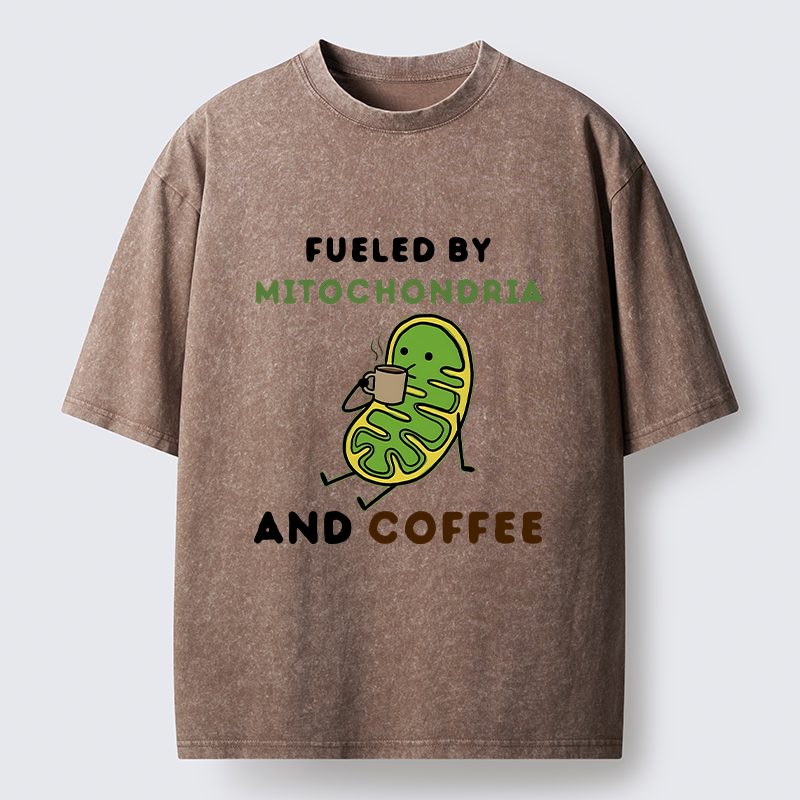 Tokyo-Tiger Two Sources Energy Funny Meme Washed T-Shirt