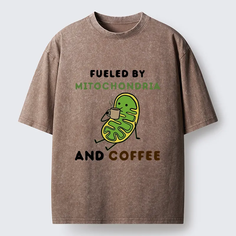 Tokyo-Tiger Two Sources Energy Funny Meme Washed T-Shirt