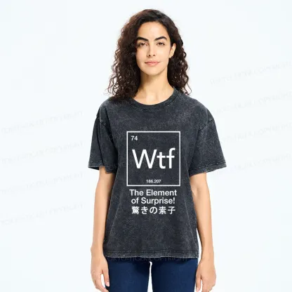 Tokyo-Tiger The Element Of Surprise Japan Washed T-Shirt