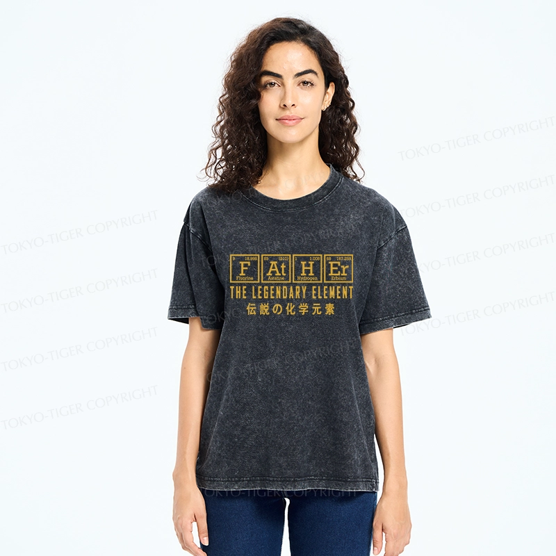 Tokyo-Tiger Funny Father Chemical Element Washed T-Shirt