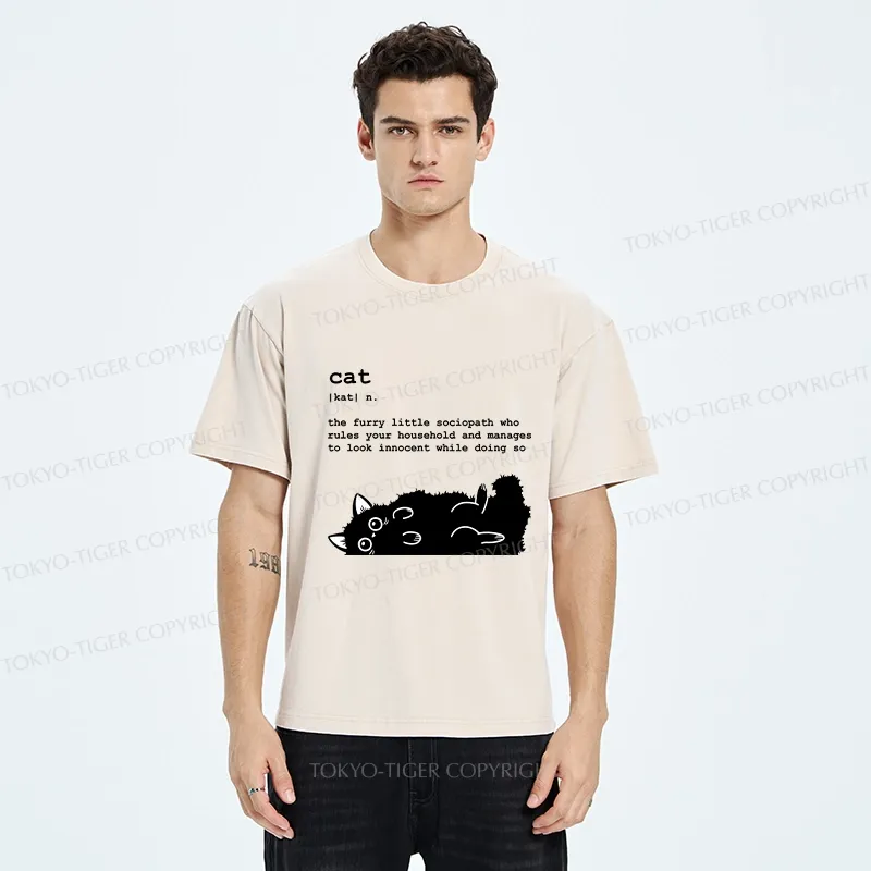 Tokyo-Tiger Definition Of Cat Funny Washed T-Shirt