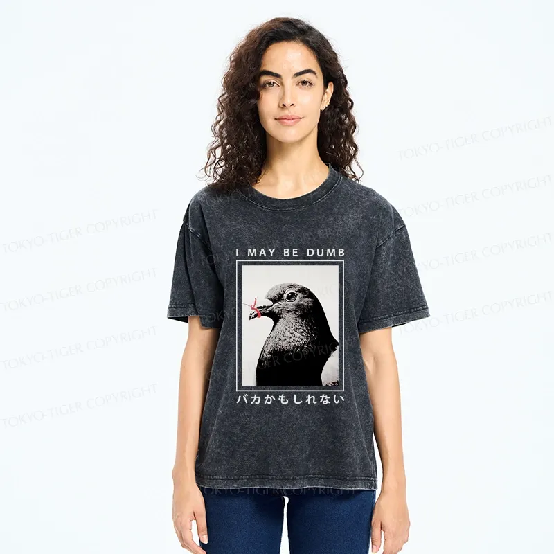 Tokyo-Tiger I May Be Dumb Funny Washed T-Shirt
