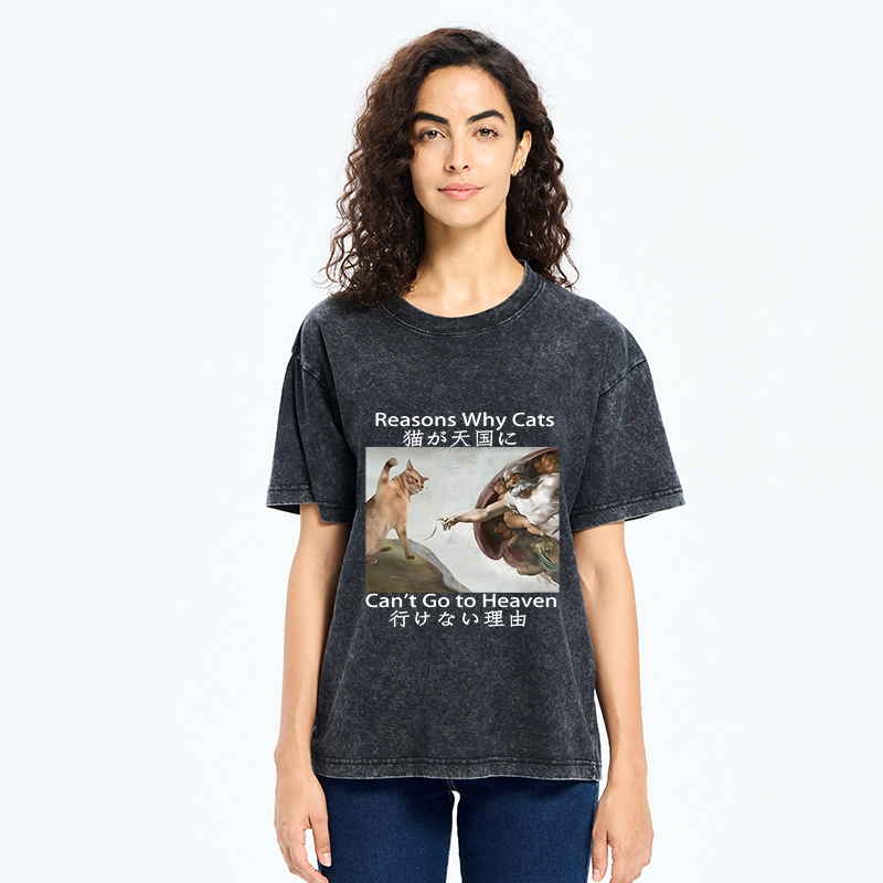 Tokyo-Tiger Naughty Cat Can't Go To Heaven Washed T-Shirt