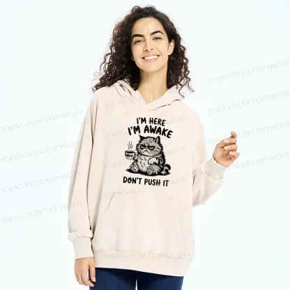 Tokyo-Tiger Tired Cat Washed Hoodie