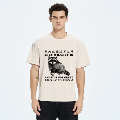 Tokyo-Tiger That Is The Current Situation Washed T-Shirt