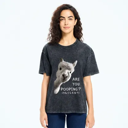 Tokyo-Tiger Are You Pooping Washed T-Shirt