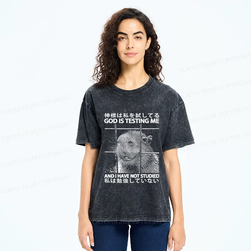 Tokyo-Tiger God Is Testing Me Washed T-Shirt