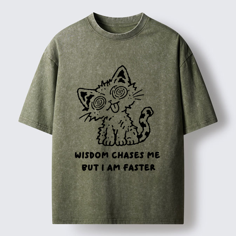 Tokyo-Tiger Escape Wisdom Cat Funny Meme Washed T-Shirt