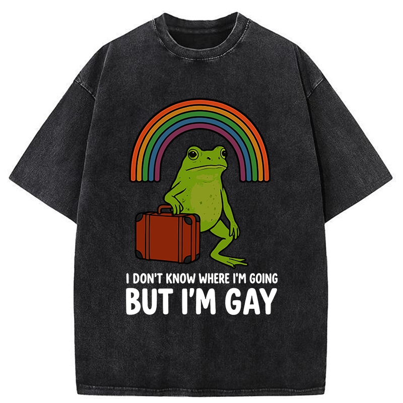 Tokyo-Tiger I Dont Know Frog Washed T-Shirt