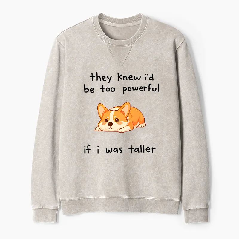 Tokyo-Tiger Funny Short Dog Joke Washed Terry Sweatshirt