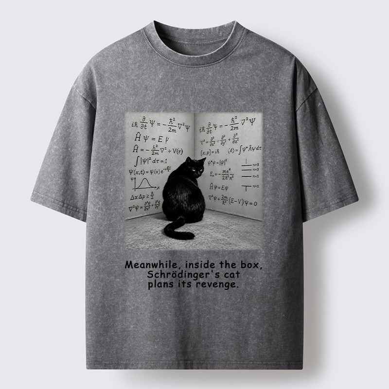 Tokyo-Tiger Box Black Cat Science Meme Washed T-Shirt
