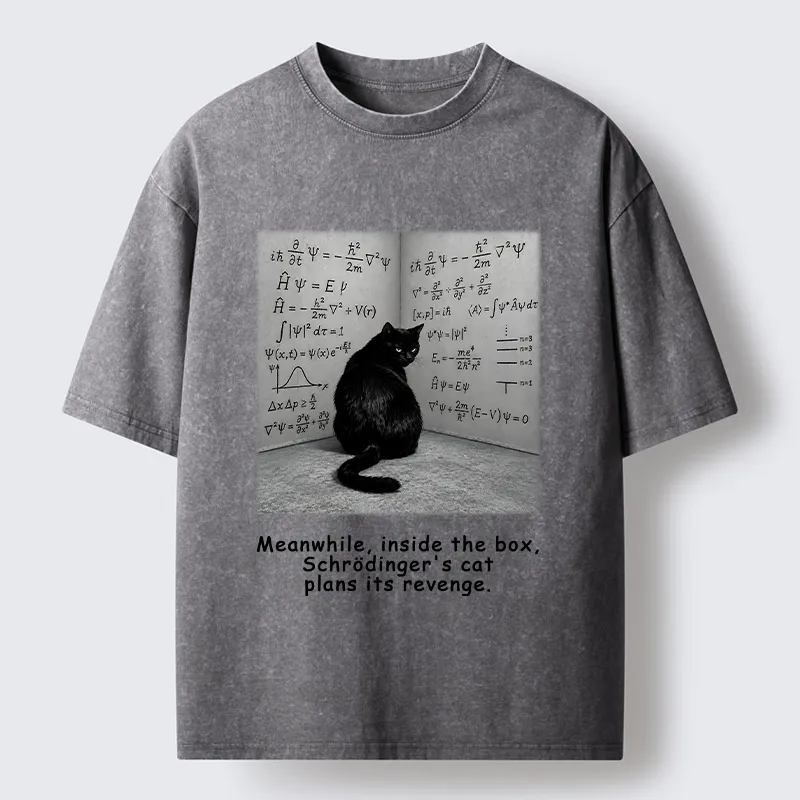 Tokyo-Tiger Box Black Cat Science Meme Washed T-Shirt