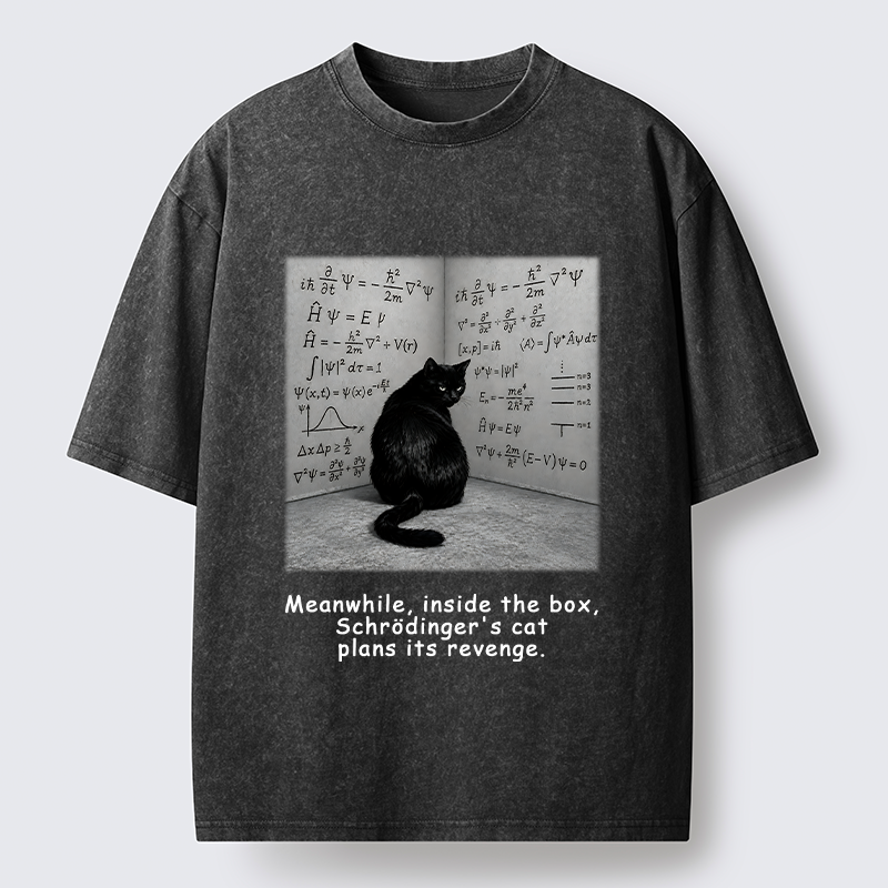 Tokyo-Tiger Box Black Cat Science Meme Washed T-Shirt