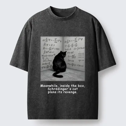 Tokyo-Tiger Box Black Cat Science Meme Washed T-Shirt