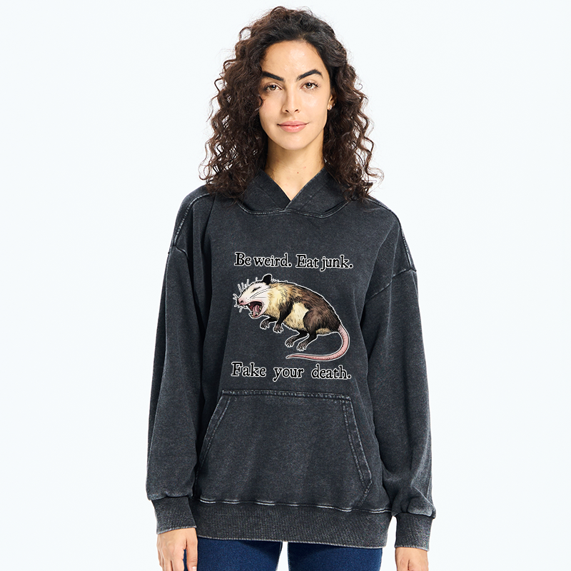 Tokyo-Tiger Focused Samurai Raccoon Washed Hoodie