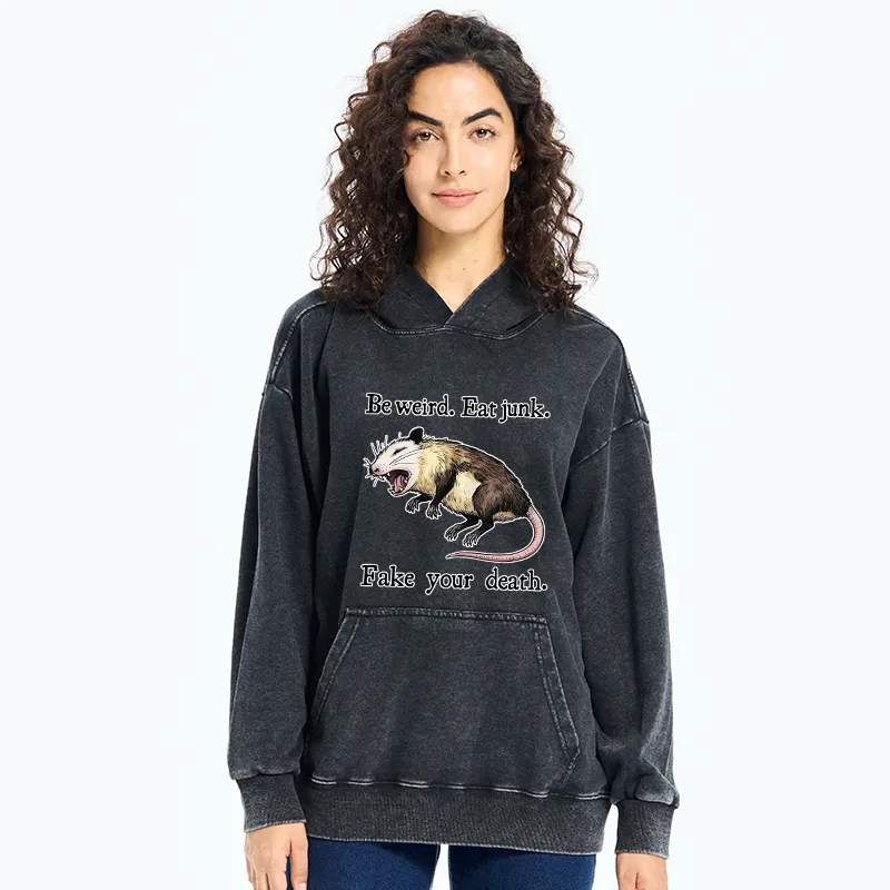 Tokyo-Tiger Focused Samurai Raccoon Washed Hoodie