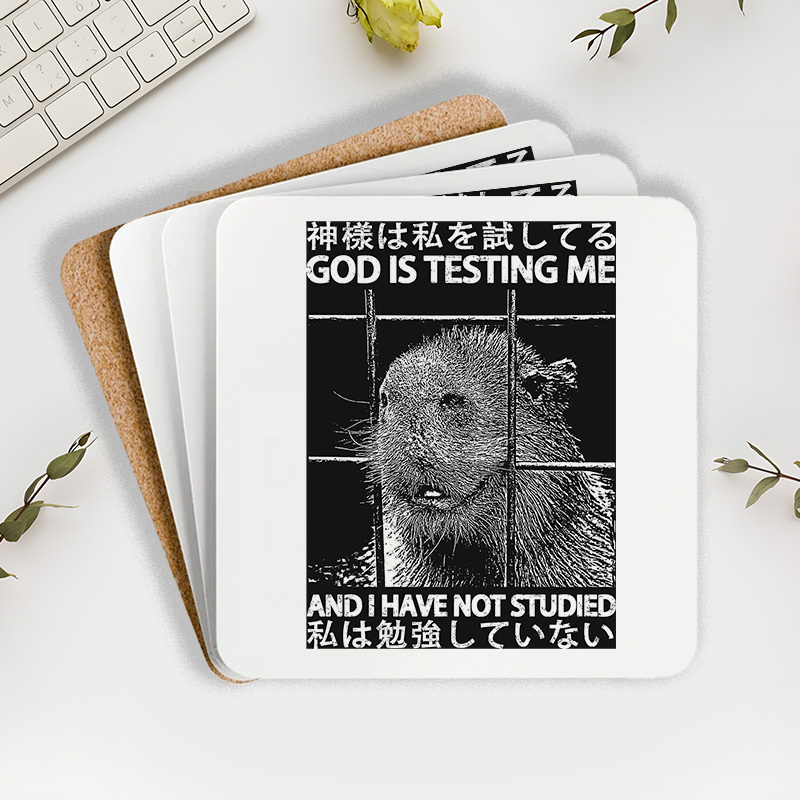 Tokyo-Tiger God Is Testing Me Coaster Sale