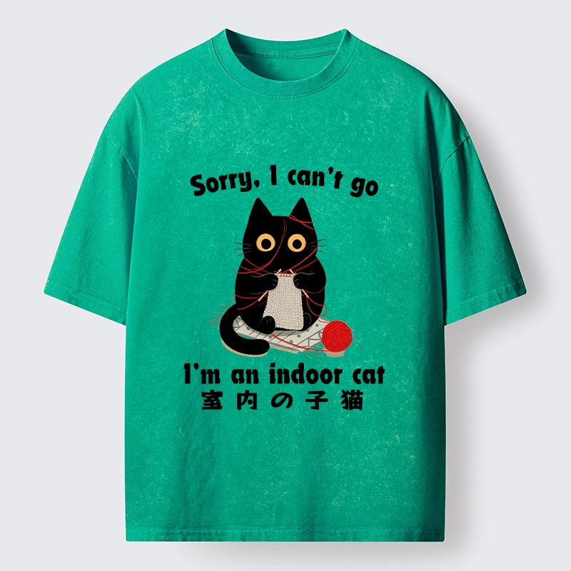 Tokyo‑Tiger Indoor Cat Meme Washed T‑Shirt