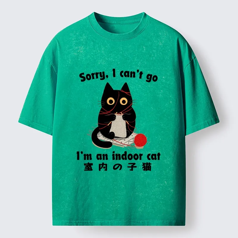 Tokyo‑Tiger Indoor Cat Meme Washed T‑Shirt